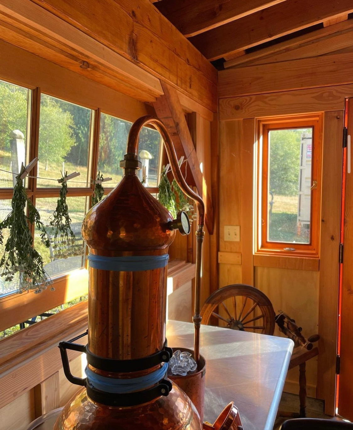 Lemon Balm Hydrosol - 2oz